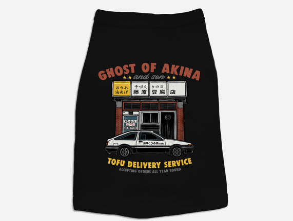 Ghost Of Akina