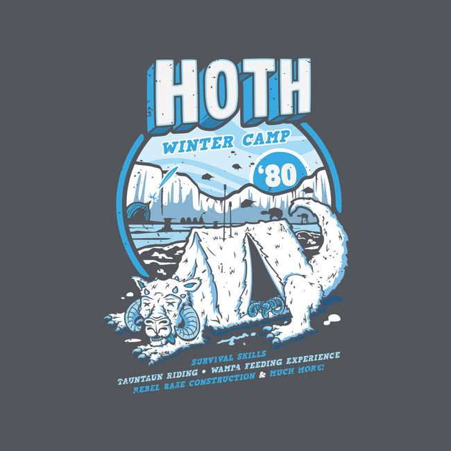 Hoth Winter Camp-Womens-V-Neck-Tee-Olipop