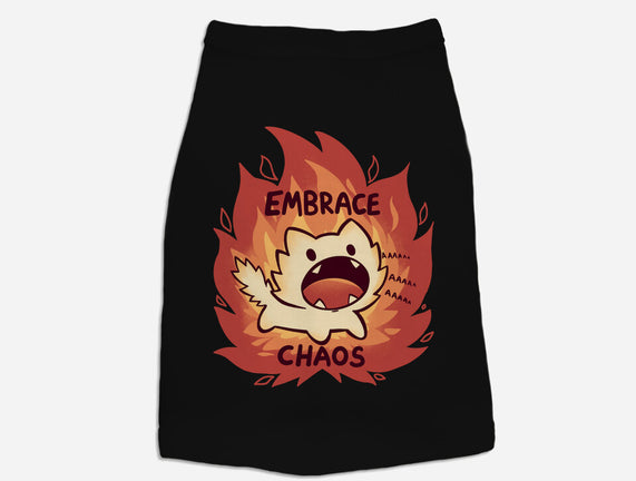 Embrace Chaos