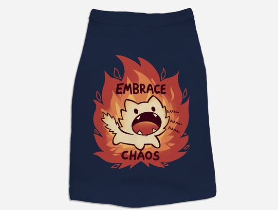 Embrace Chaos