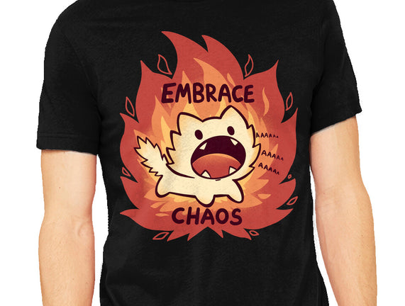 Embrace Chaos