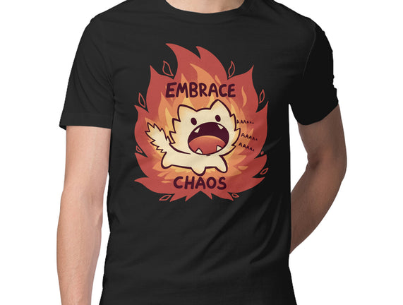 Embrace Chaos