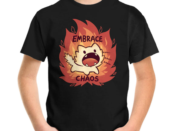 Embrace Chaos