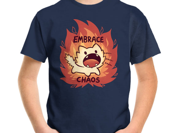 Embrace Chaos