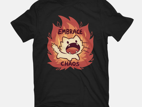 Embrace Chaos