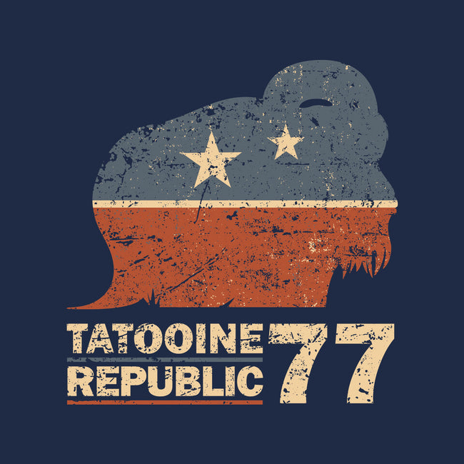 Republic-Womens-V-Neck-Tee-retrodivision