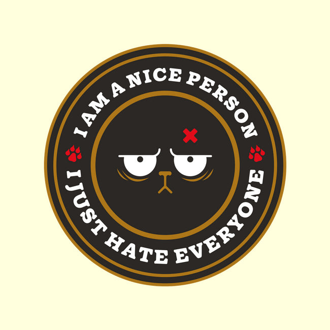 I Am A Nice Person-None-Non-Removable Cover w Insert-Throw Pillow-BadBox