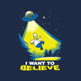 I Want To Believe-Cat-Bandana-Pet Collar-dalethesk8er