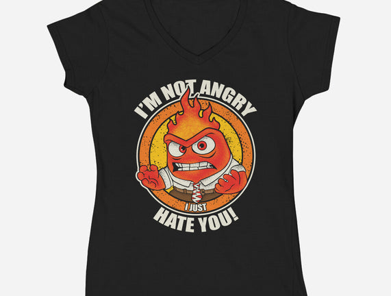 Not Angry I Just Hate You