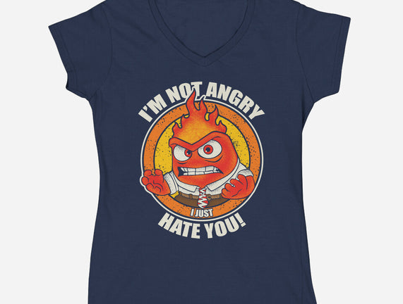 Not Angry I Just Hate You