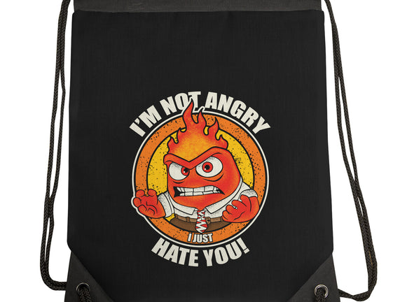 Not Angry I Just Hate You