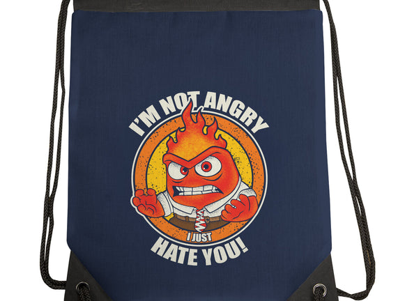 Not Angry I Just Hate You