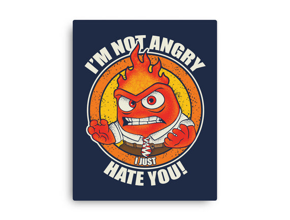 Not Angry I Just Hate You