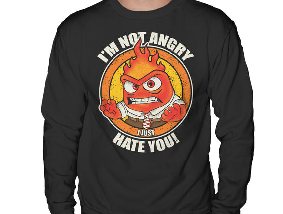 Not Angry I Just Hate You