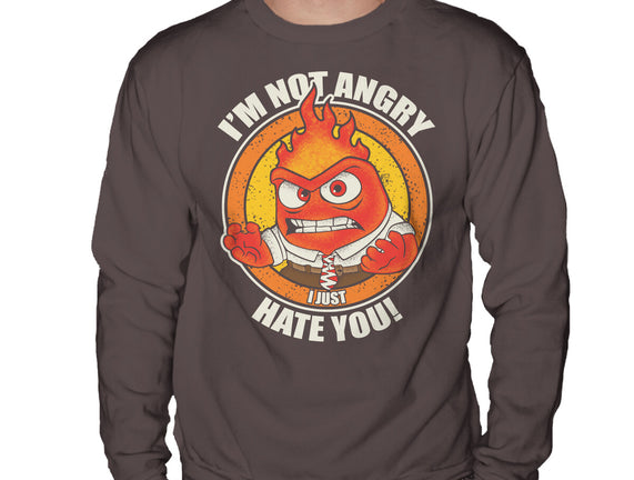 Not Angry I Just Hate You