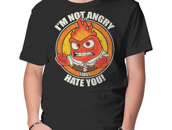 Not Angry I Just Hate You