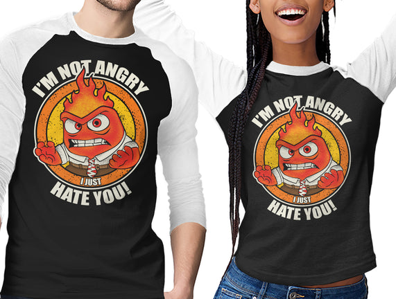 Not Angry I Just Hate You