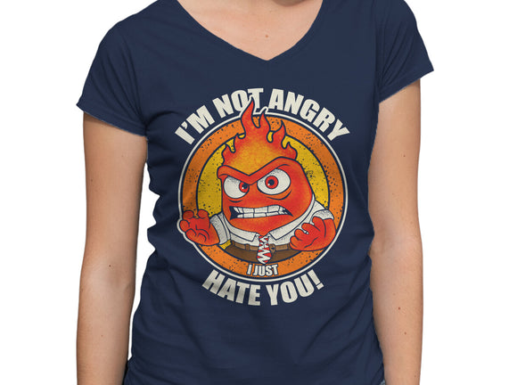 Not Angry I Just Hate You