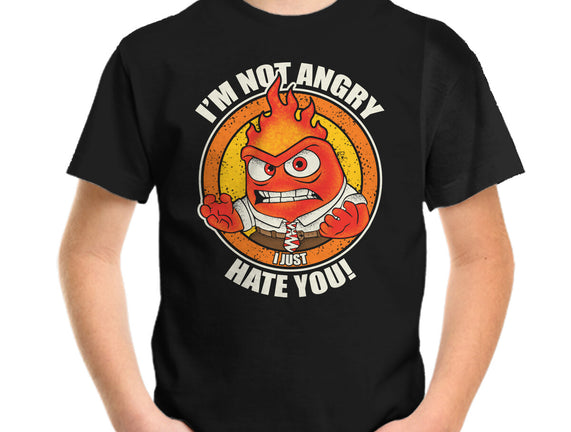 Not Angry I Just Hate You