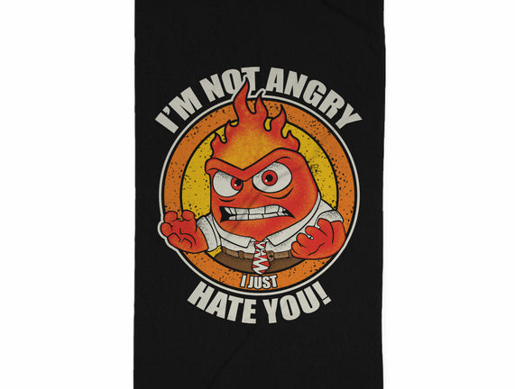 Not Angry I Just Hate You