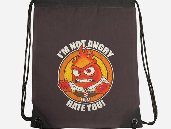 Not Angry I Just Hate You