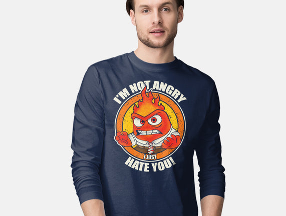 Not Angry I Just Hate You