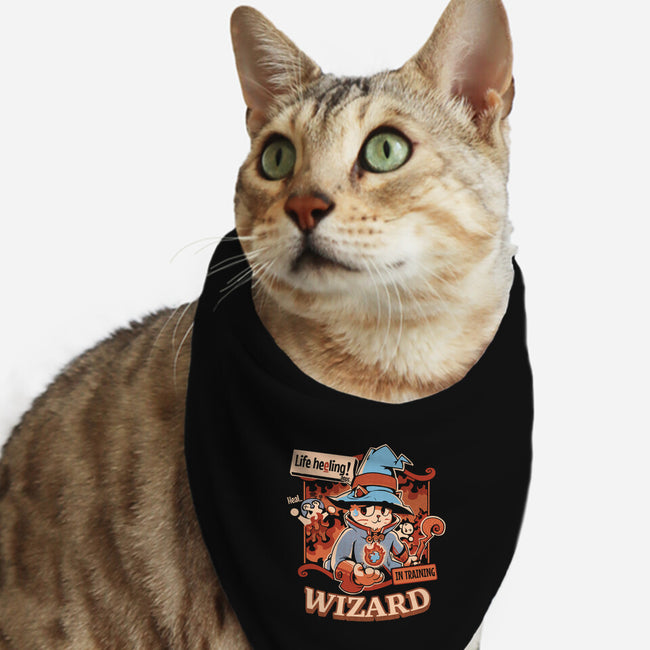 Wizard Still In Training-Cat-Bandana-Pet Collar-Heyra Vieira