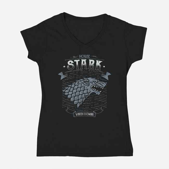 House Stark-Womens-V-Neck-Tee-teesgeex