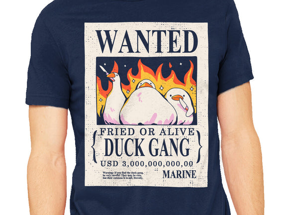 Duck Gang