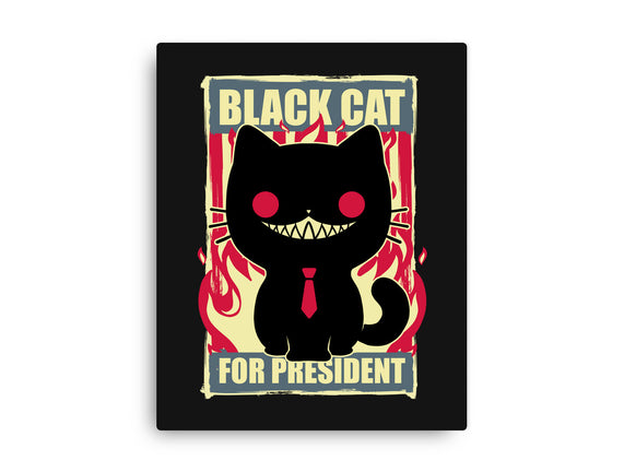 Black Cat For President