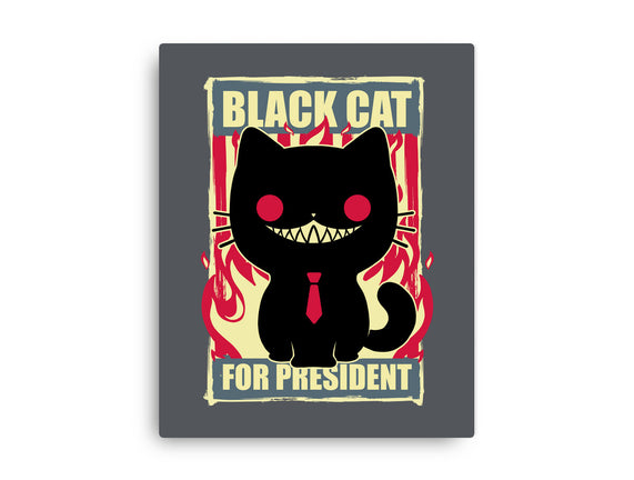 Black Cat For President