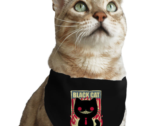 Black Cat For President