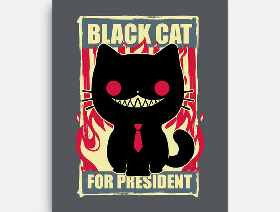 Black Cat For President