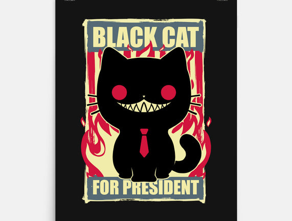 Black Cat For President