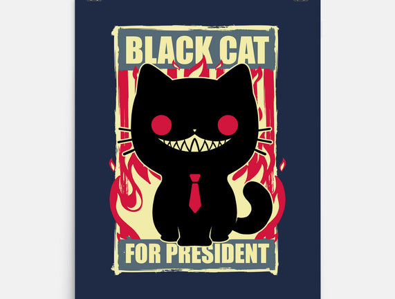 Black Cat For President