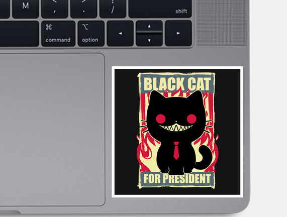 Black Cat For President