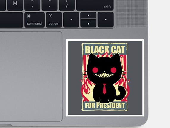 Black Cat For President