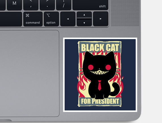 Black Cat For President