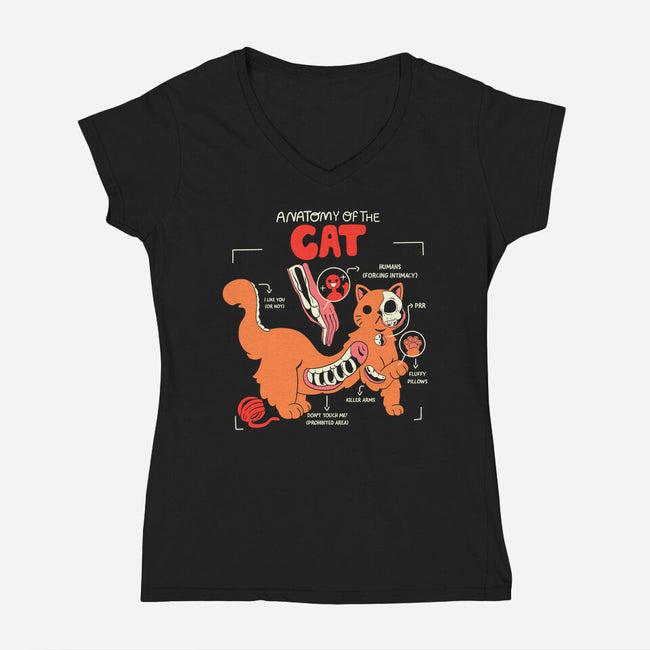 Anatomy Of The Cat-Womens-V-Neck-Tee-yumie