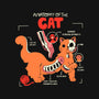 Anatomy Of The Cat-Womens-V-Neck-Tee-yumie