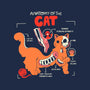 Anatomy Of The Cat-Womens-V-Neck-Tee-yumie