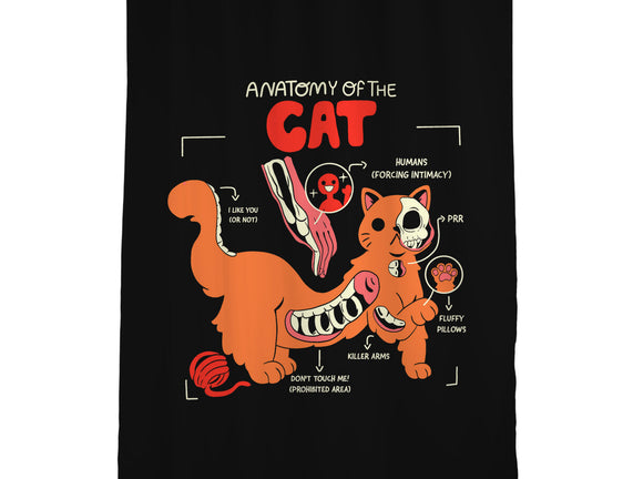 Anatomy Of The Cat