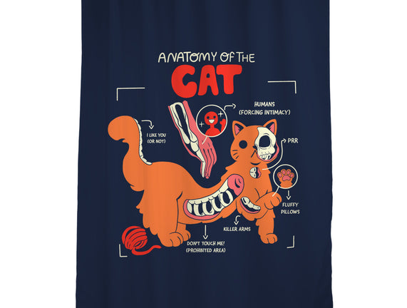 Anatomy Of The Cat