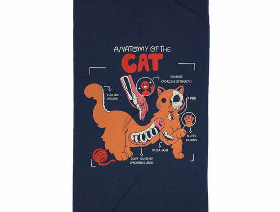 Anatomy Of The Cat