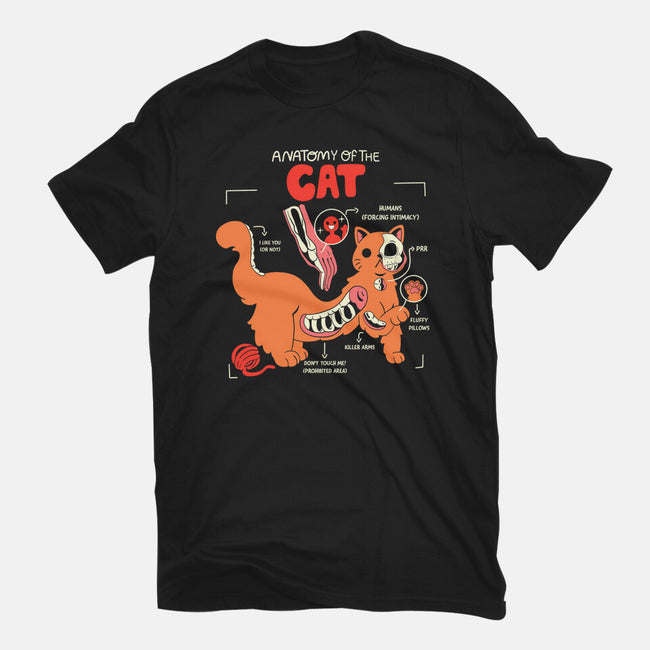 Anatomy Of The Cat-Mens-Basic-Tee-yumie