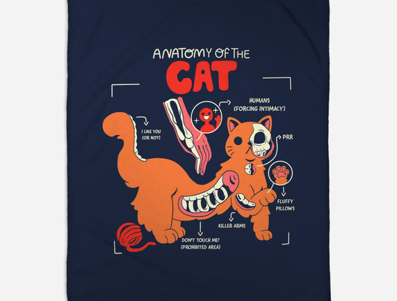 Anatomy Of The Cat