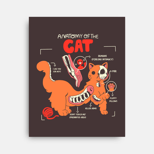 Anatomy Of The Cat-None-Stretched-Canvas-yumie