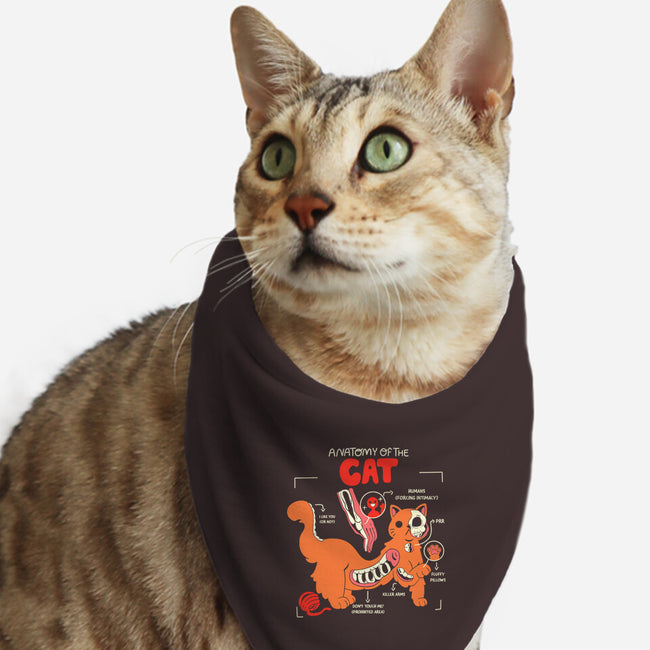 Anatomy Of The Cat-Cat-Bandana-Pet Collar-yumie