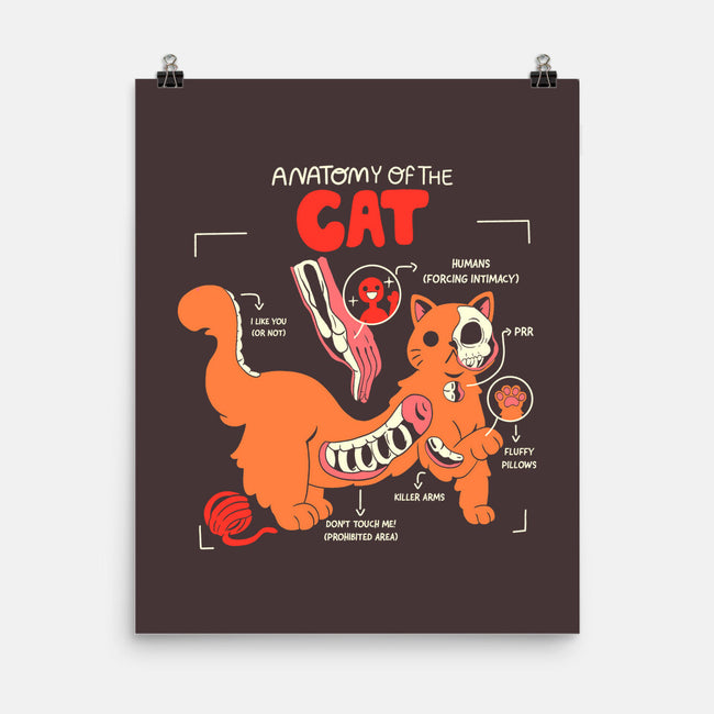 Anatomy Of The Cat-None-Matte-Poster-yumie