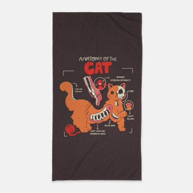 Anatomy Of The Cat-None-Beach-Towel-yumie